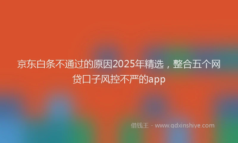 京东白条不通过的原因2025年精选,整合五个网贷口子风控不严的app