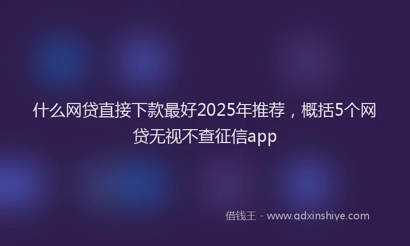 什么网贷直接下款最好2025年推荐，概括5个网贷无视不查征信app