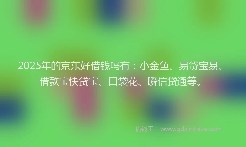 2025年的京东好借钱吗有:小金鱼、易贷宝易、借款宝快贷宝、口袋花、瞬信贷通等。