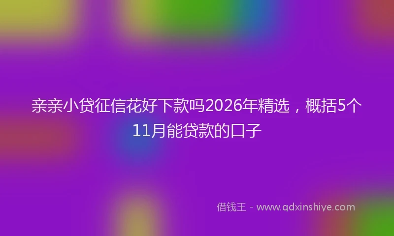 亲亲小贷征信花好下款吗2026年精选，概括5个11月能贷款的口子