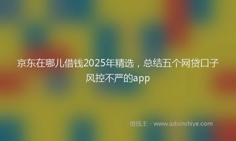 京东在哪儿借钱2025年精选，总结五个网贷口子风控不严的app