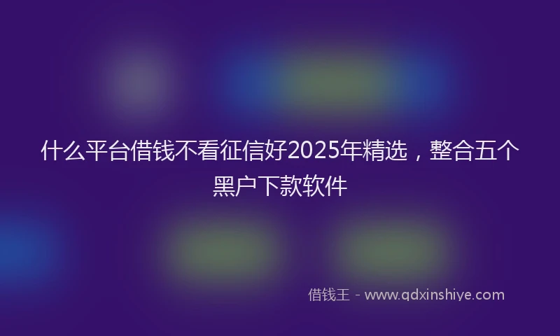 什么平台借钱不看征信好2025年精选，整合五个黑户下款软件