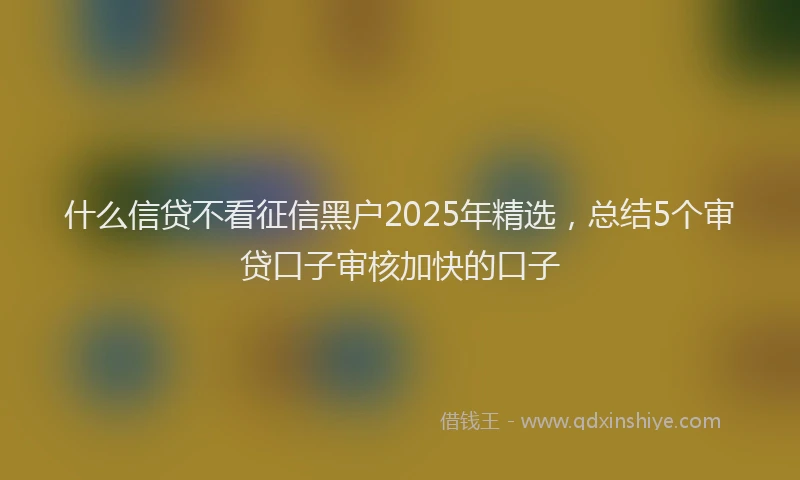 什么信贷不看征信黑户2025年精选，总结5个审贷口子审核加快的口子