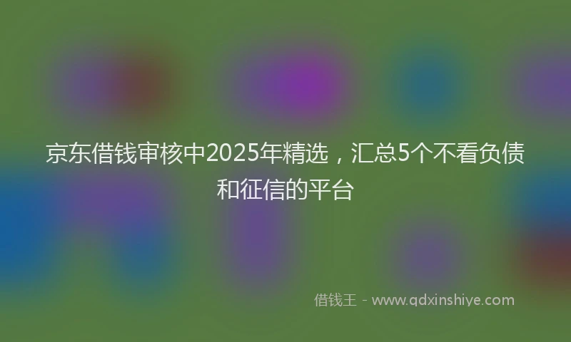 京东借钱审核中2025年精选，汇总5个不看负债和征信的平台