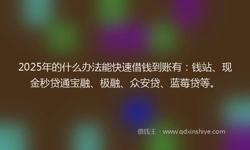 2025年的什么办法能快速借钱到账有：钱站、现金秒贷通宝融、极融、众安贷、蓝莓贷等。