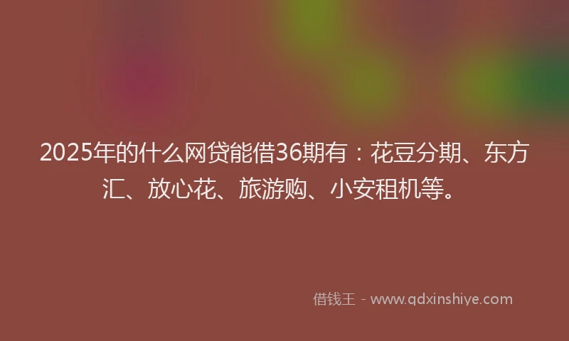 2025年的什么网贷能借36期有：花豆分期、东方汇、放心花、旅游购、小安租机等。