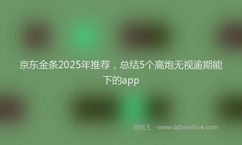 京东金条2025年推荐，总结5个高炮无视逾期能下的app