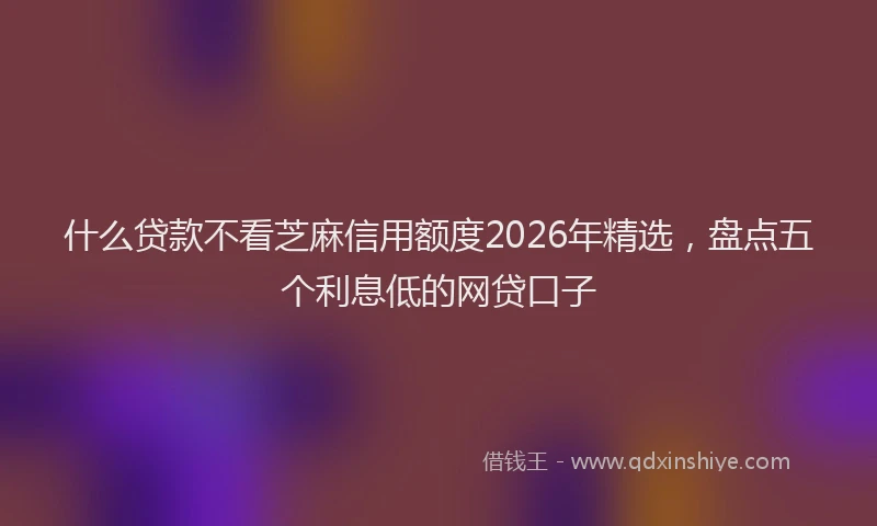 什么贷款不看芝麻信用额度2026年精选，盘点五个利息低的网贷口子