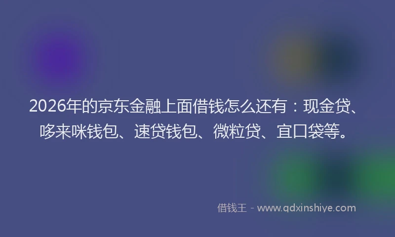 2026年的京东金融上面借钱怎么还有：现金贷、哆来咪钱包、速贷钱包、微粒贷、宜口袋等。