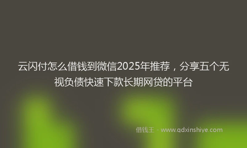 云闪付怎么借钱到微信2025年推荐,分享五个无视负债快速下款长期网贷的平台