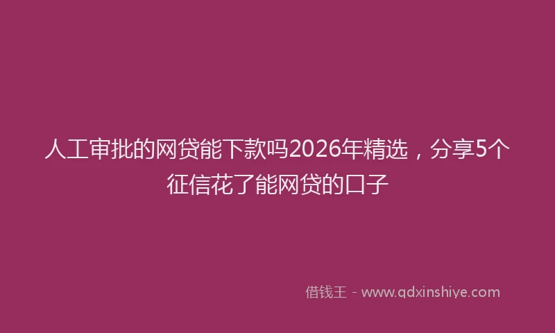 人工审批的网贷能下款吗2026年精选，分享5个征信花了能网贷的口子