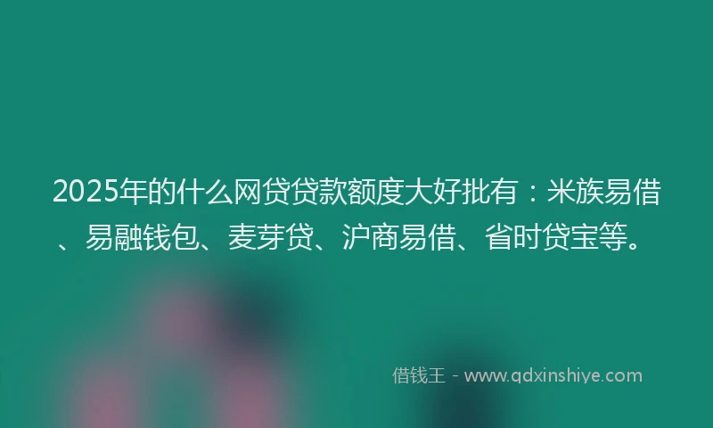 2025年的什么网贷贷款额度大好批有：米族易借、易融钱包、麦芽贷、沪商易借、省时贷宝等。