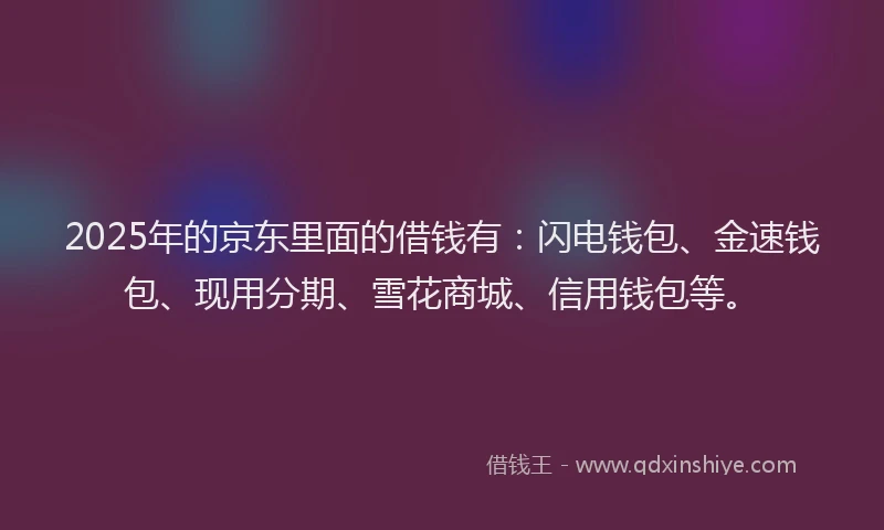 2025年的京东里面的借钱有:闪电钱包、金速钱包、现用分期、雪花商城、信用钱包等。