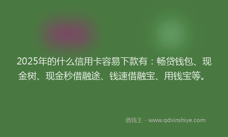 2025年的什么信用卡容易下款有：畅贷钱包、现金树、现金秒借融途、钱速借融宝、用钱宝等。