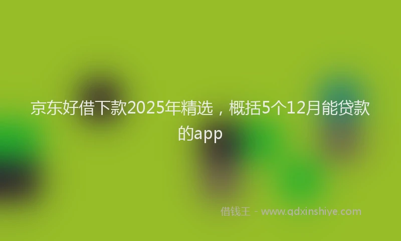 京东好借下款2025年精选，概括5个12月能贷款的app