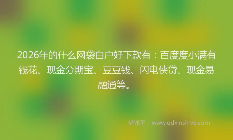 2026年的什么网袋白户好下款有：百度度小满有钱花、现金分期宝、豆豆钱、闪电侠贷、现金易融通等。