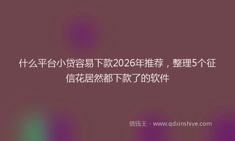 什么平台小贷容易下款2026年推荐，整理5个征信花居然都下款了的软件