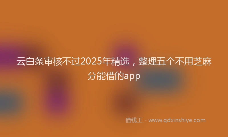 云白条审核不过2025年精选，整理五个不用芝麻分能借的app