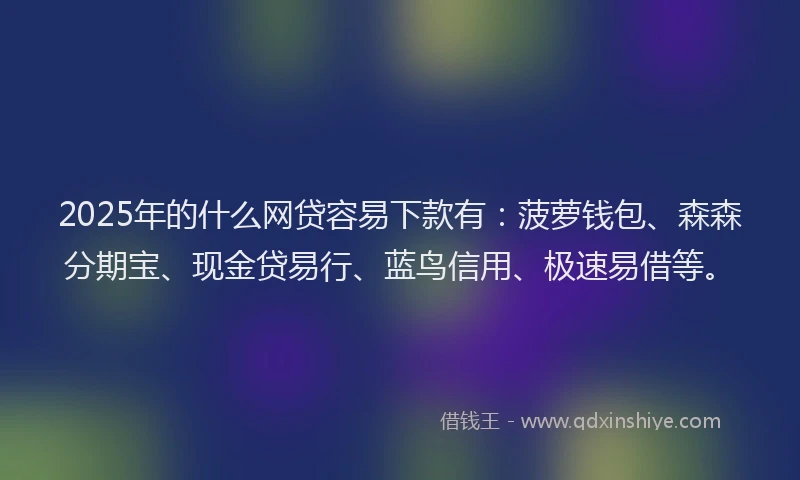 2025年的什么网贷容易下款有:菠萝钱包、森森分期宝、现金贷易行、蓝鸟信用、极速易借等。