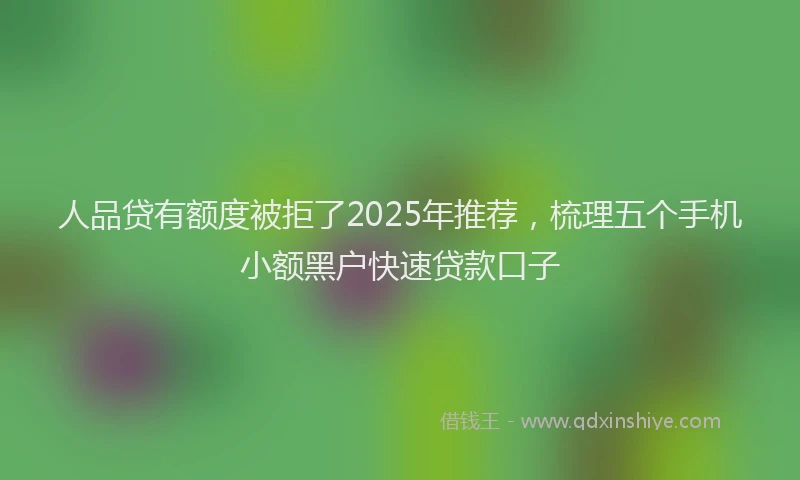 人品贷有额度被拒了2025年推荐，梳理五个手机小额黑户快速贷款口子