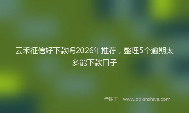 云禾征信好下款吗2026年推荐，整理5个逾期太多能下款口子