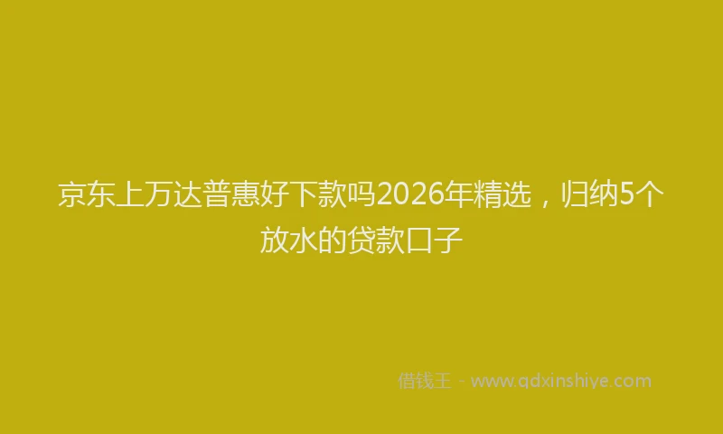 京东上万达普惠好下款吗2026年精选，归纳5个放水的贷款口子