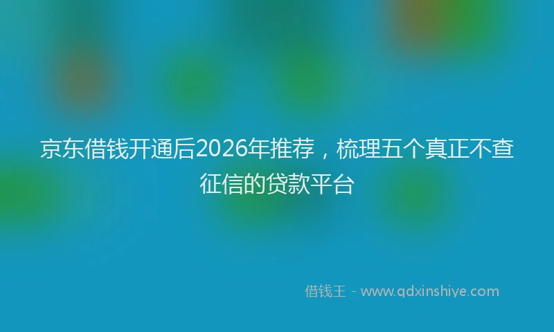 京东借钱开通后2026年推荐，梳理五个真正不查征信的贷款平台
