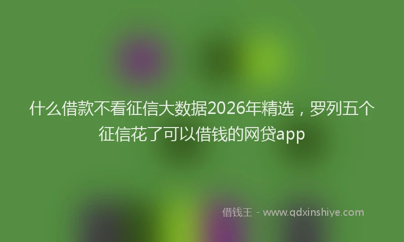 什么借款不看征信大数据2026年精选，罗列五个征信花了可以借钱的网贷app