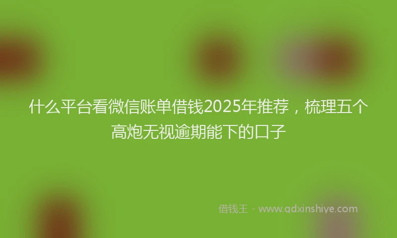 什么平台看微信账单借钱2025年推荐，梳理五个高炮无视逾期能下的口子