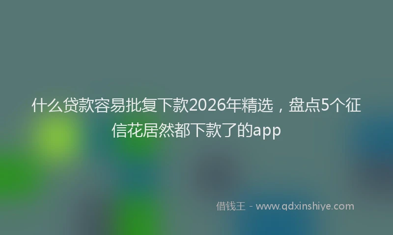 什么贷款容易批复下款2026年精选，盘点5个征信花居然都下款了的app