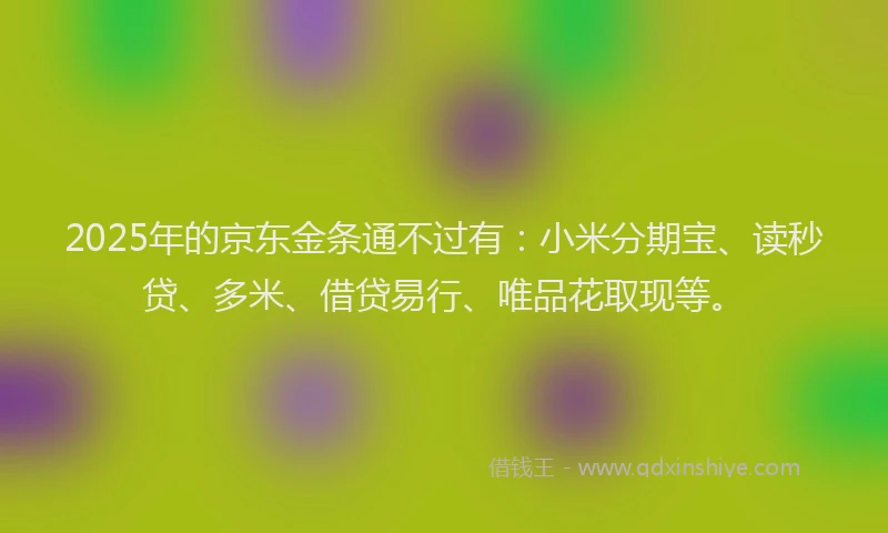 2025年的京东金条通不过有：小米分期宝、读秒贷、多米、借贷易行、唯品花取现等。