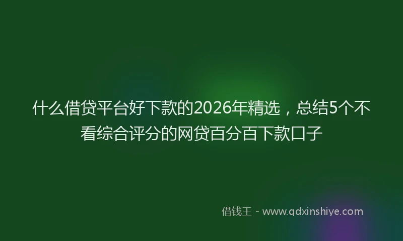什么借贷平台好下款的2026年精选，总结5个不看综合评分的网贷百分百下款口子