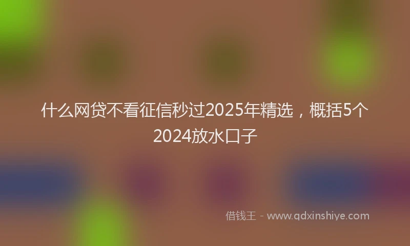 什么网贷不看征信秒过2025年精选，概括5个2024放水口子
