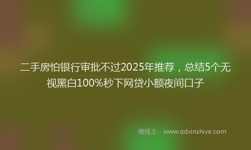 二手房怕银行审批不过2025年推荐,总结5个无视黑白100%秒下网贷小额夜间口子