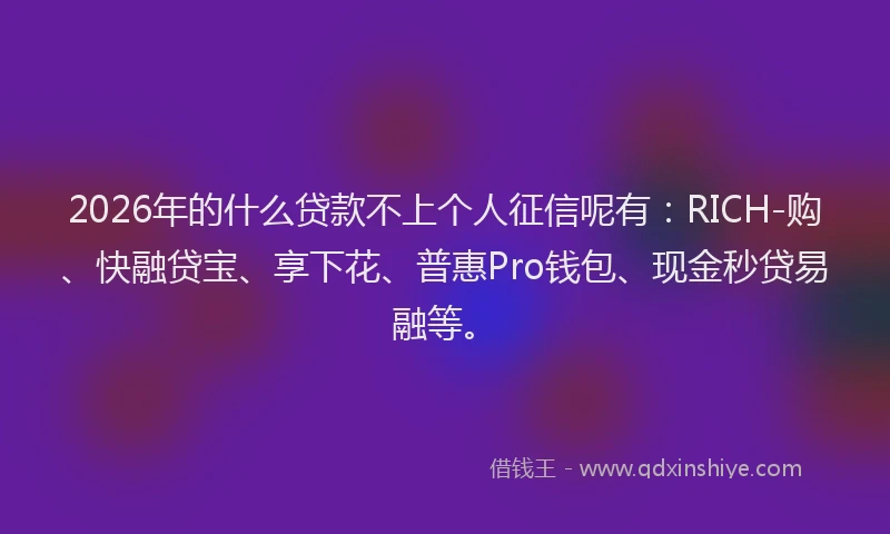 2026年的什么贷款不上个人征信呢有：RICH-购、快融贷宝、享下花、普惠Pro钱包、现金秒贷易融等。