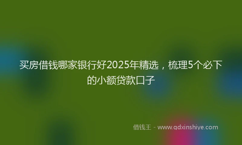 买房借钱哪家银行好2025年精选，梳理5个必下的小额贷款口子