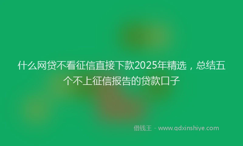 什么网贷不看征信直接下款2025年精选，总结五个不上征信报告的贷款口子