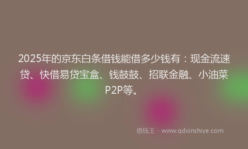 2025年的京东白条借钱能借多少钱有：现金流速贷、快借易贷宝盒、钱鼓鼓、招联金融、小油菜P2P等。