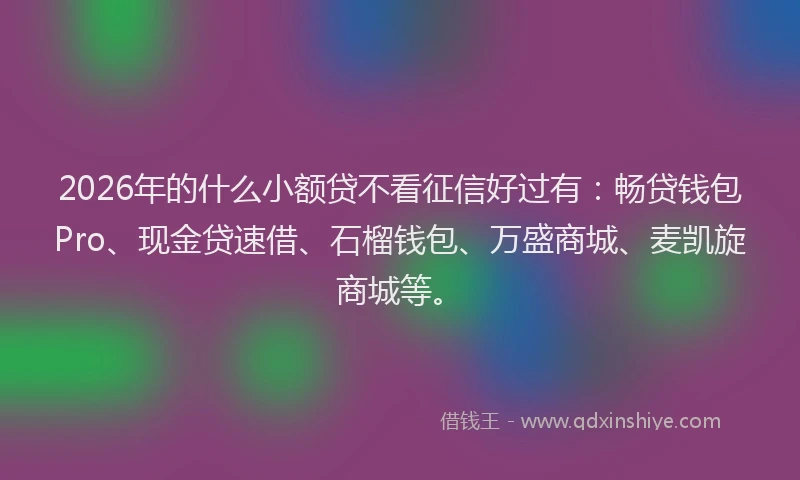 2026年的什么小额贷不看征信好过有：畅贷钱包Pro、现金贷速借、石榴钱包、万盛商城、麦凯旋商城等。