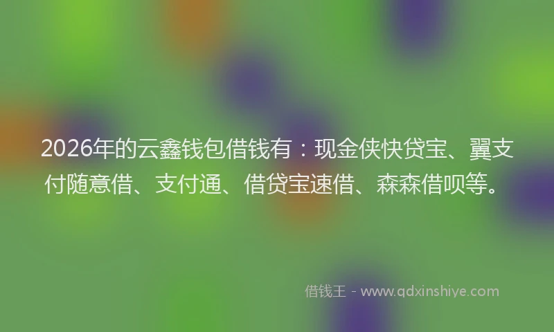2026年的云鑫钱包借钱有:现金侠快贷宝、翼支付随意借、支付通、借贷宝速借、森森借呗等。