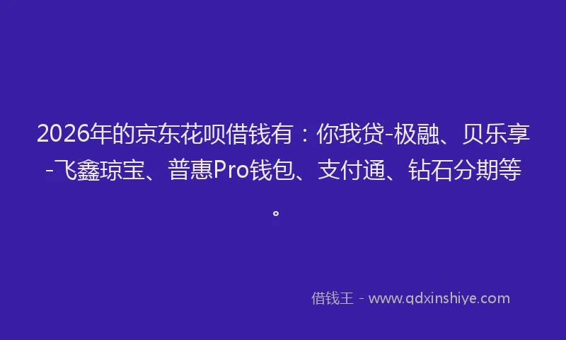 2026年的京东花呗借钱有：你我贷-极融、贝乐享-飞鑫琼宝、普惠Pro钱包、支付通、钻石分期等。