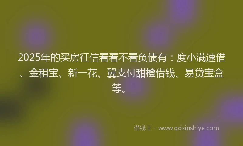 2025年的买房征信看看不看负债有：度小满速借、金租宝、新一花、翼支付甜橙借钱、易贷宝盒等。