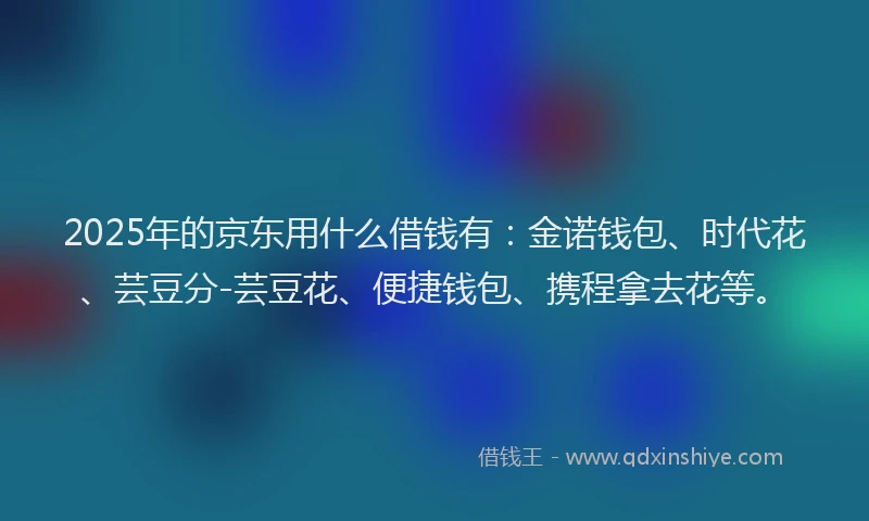 2025年的京东用什么借钱有：金诺钱包、时代花、芸豆分-芸豆花、便捷钱包、携程拿去花等。