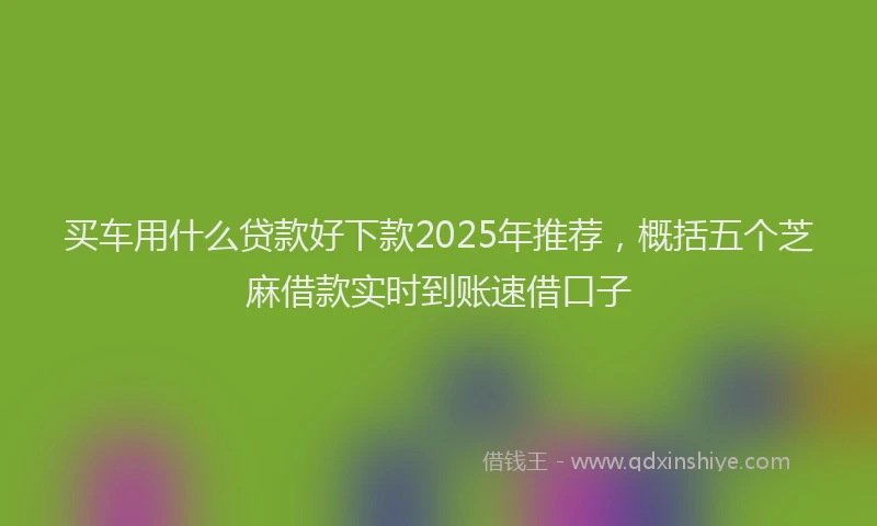 买车用什么贷款好下款2025年推荐，概括五个芝麻借款实时到账速借口子