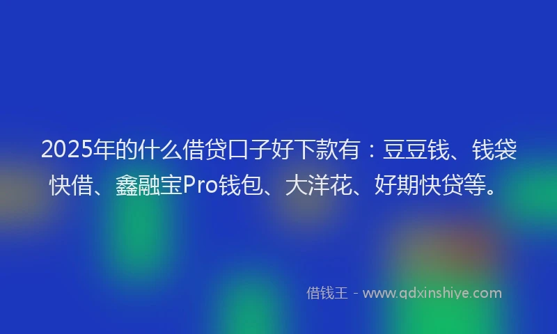 2025年的什么借贷口子好下款有：豆豆钱、钱袋快借、鑫融宝Pro钱包、大洋花、好期快贷等。