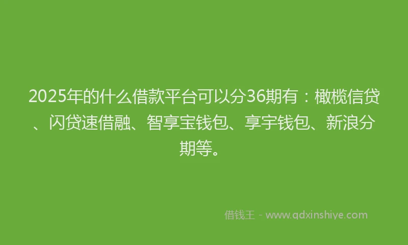 2025年的什么借款平台可以分36期有：橄榄信贷、闪贷速借融、智享宝钱包、享宇钱包、新浪分期等。