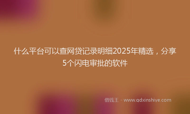 什么平台可以查网贷记录明细2025年精选，分享5个闪电审批的软件