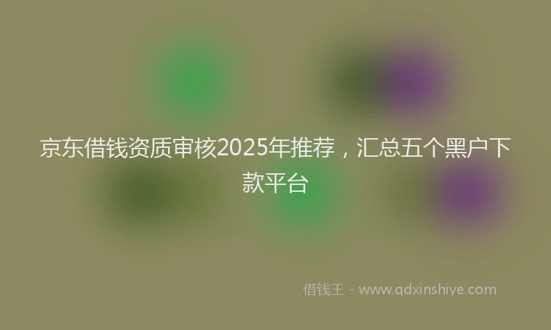 京东借钱资质审核2025年推荐，汇总五个黑户下款平台