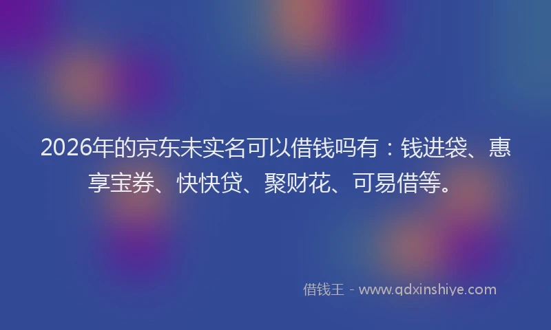 2026年的京东未实名可以借钱吗有：钱进袋、惠享宝券、快快贷、聚财花、可易借等。