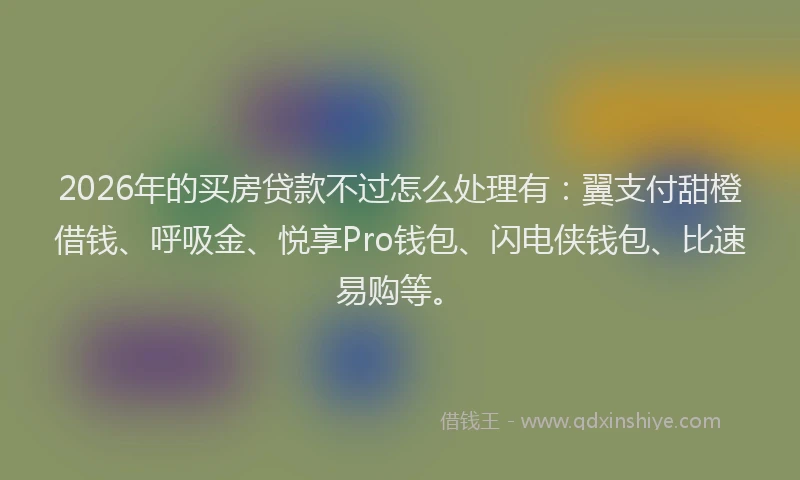 2026年的买房贷款不过怎么处理有:翼支付甜橙借钱、呼吸金、悦享Pro钱包、闪电侠钱包、比速易购等。